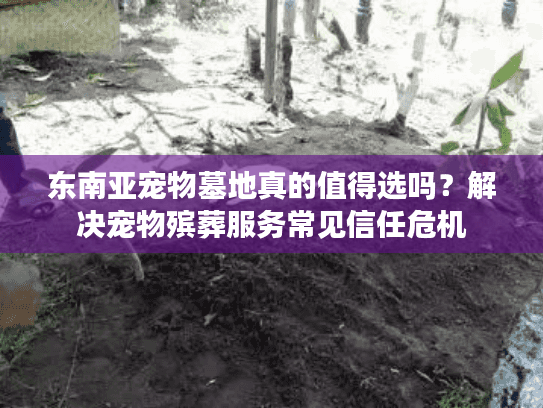 东南亚宠物墓地真的值得选吗？解决宠物殡葬服务常见信任危机