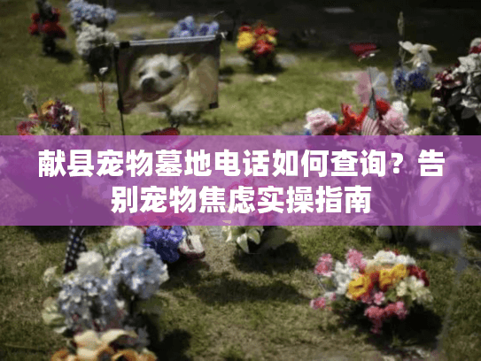 献县宠物墓地电话如何查询？告别宠物焦虑实操指南