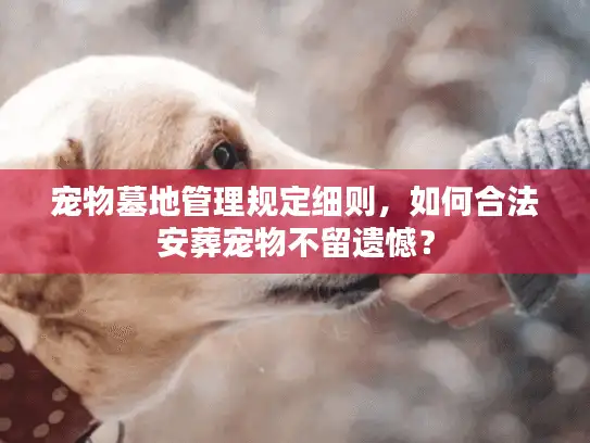 宠物墓地管理规定细则，如何合法安葬宠物不留遗憾？