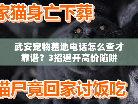 武安宠物墓地电话怎么查才靠谱？3招避开高价陷阱
