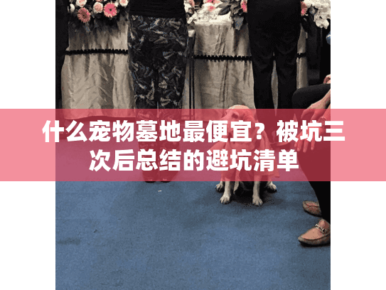 什么宠物墓地最便宜？被坑三次后总结的避坑清单