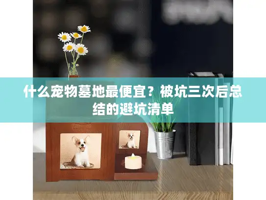 什么宠物墓地最便宜？被坑三次后总结的避坑清单