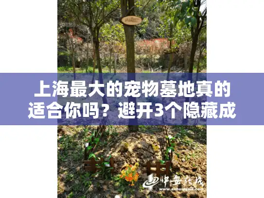 上海最大的宠物墓地真的适合你吗?避开3个隐藏成本陷阱 上海最大的宠物墓地真的适合你吗?避开3个隐藏成本陷阱