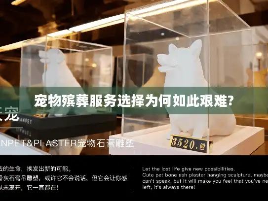 宠物殡葬服务选择为何如此艰难?