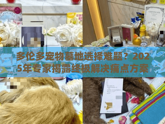 多伦多宠物墓地选择难题?2025年专家揭露终极解决痛点方案 多伦多宠物墓地选择难题?2025年专家揭露终极解决痛点方案