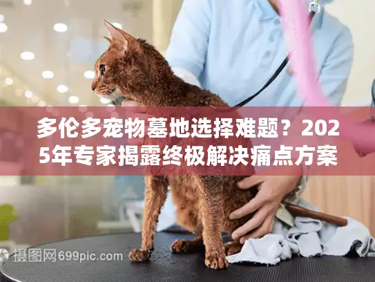 多伦多宠物墓地选择难题?2025年专家揭露终极解决痛点方案 多伦多宠物墓地选择难题?2025年专家揭露终极解决痛点方案