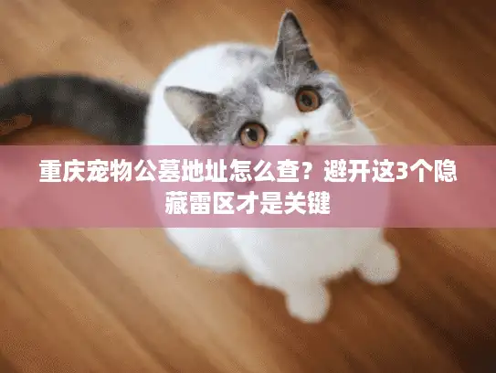 重庆宠物公墓地址怎么查？避开这3个隐藏雷区才是关键