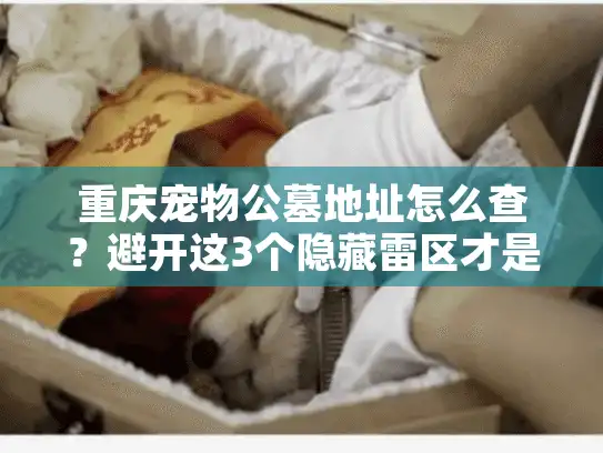 重庆宠物公墓地址怎么查？避开这3个隐藏雷区才是关键