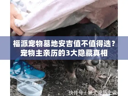 福派宠物墓地安吉值不值得选?宠物主亲历的3大隐藏真相 福派宠物墓地安吉值不值得选?宠物主亲历的3大隐藏真相