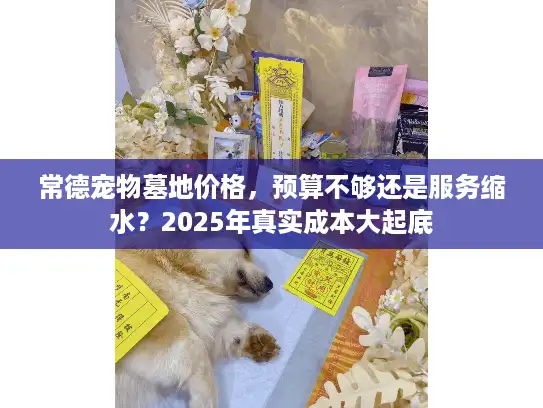 常德宠物墓地价格,预算不够还是服务缩水?2025年真实成本大起底 常德宠物墓地价格,预算不够还是服务缩水?2025年真实成本大起底