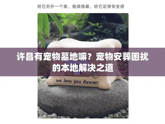 许昌有宠物墓地嘛？宠物安葬困扰的本地解决之道