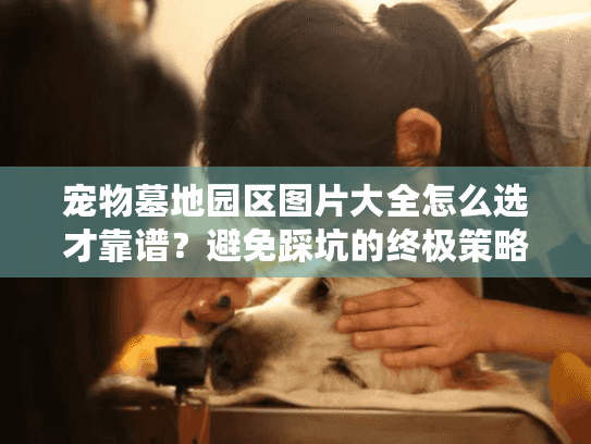 宠物墓地园区图片大全怎么选才靠谱?避免踩坑的终极策略曝光! 宠物墓地园区图片大全怎么选才靠谱?避免踩坑的终极策略曝光!