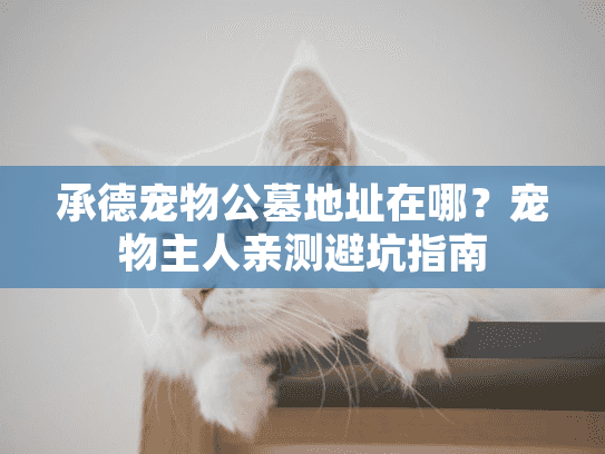 承德宠物公墓地址在哪？宠物主人亲测避坑指南