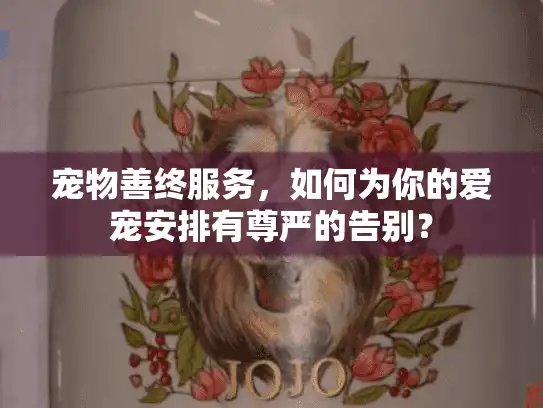 宠物善终服务，如何为你的爱宠安排有尊严的告别？