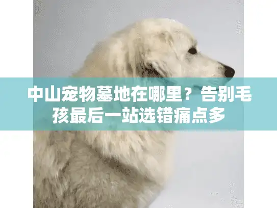 中山宠物墓地在哪里?告别毛孩最后一站选错痛点多 中山宠物墓地在哪里?告别毛孩最后一站选错痛点多