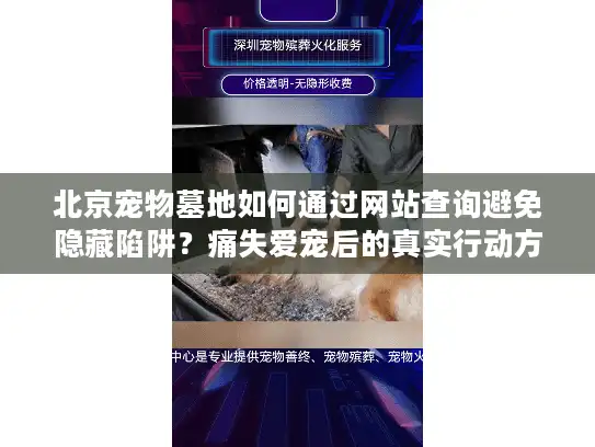 北京宠物墓地如何通过网站查询避免隐藏陷阱？痛失爱宠后的真实行动方案