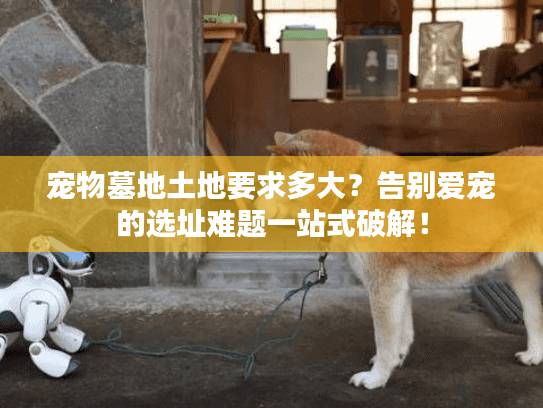 宠物墓地土地要求多大？告别爱宠的选址难题一站式破解！