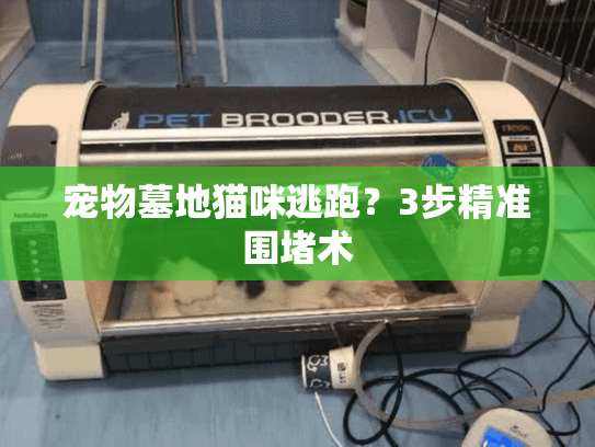 宠物墓地猫咪逃跑?3步精准围堵术 宠物墓地猫咪逃跑?3步精准围堵术