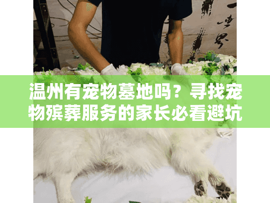 温州有宠物墓地吗?寻找宠物殡葬服务的家长必看避坑指南 温州有宠物墓地吗?寻找宠物殡葬服务的家长必看避坑指南