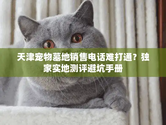 天津宠物墓地销售电话难打通？独家实地测评避坑手册