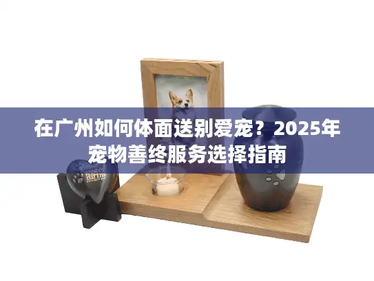 在广州如何体面送别爱宠？2025年宠物善终服务选择指南