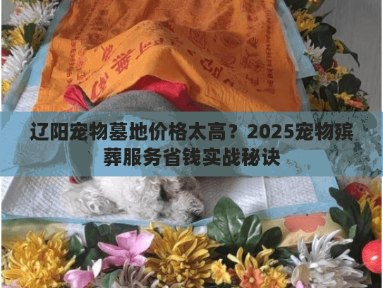 辽阳宠物墓地价格太高？2025宠物殡葬服务省钱实战秘诀