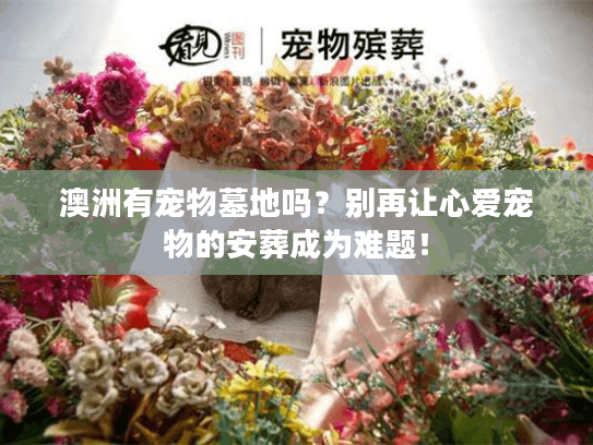 澳洲有宠物墓地吗?别再让心爱宠物的安葬成为难题! 澳洲有宠物墓地吗?别再让心爱宠物的安葬成为难题!