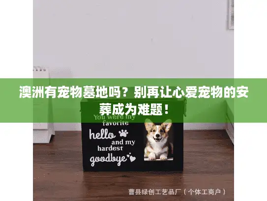 澳洲有宠物墓地吗?别再让心爱宠物的安葬成为难题! 澳洲有宠物墓地吗?别再让心爱宠物的安葬成为难题!