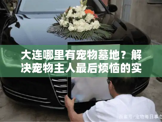 大连哪里有宠物墓地？解决宠物主人最后烦恼的实用指南