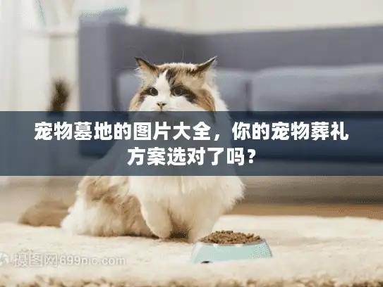 宠物墓地的图片大全，你的宠物葬礼方案选对了吗？