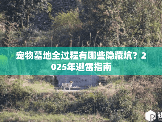 宠物墓地全过程有哪些隐藏坑？2025年避雷指南