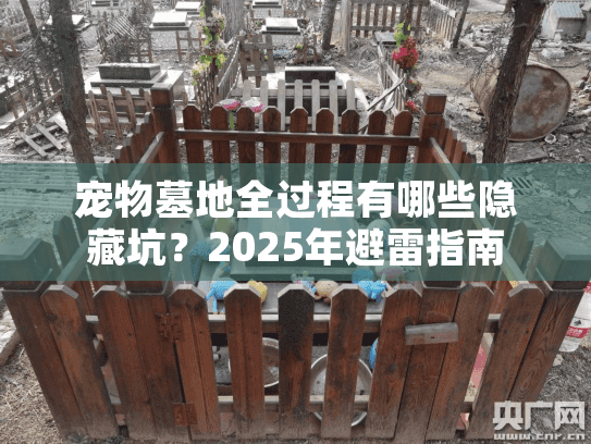 宠物墓地全过程有哪些隐藏坑？2025年避雷指南