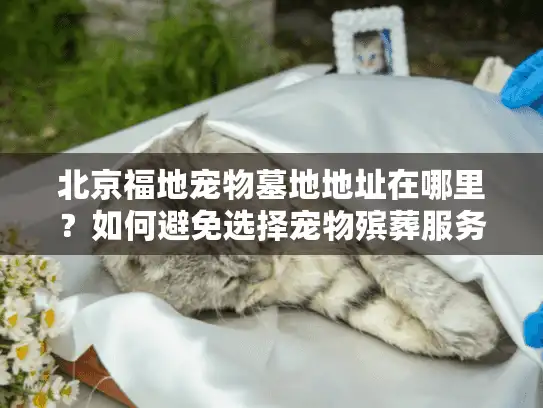 北京福地宠物墓地地址在哪里？如何避免选择宠物殡葬服务的常见陷阱