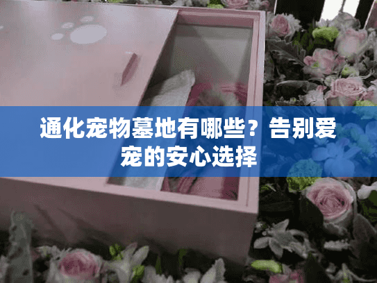 通化宠物墓地有哪些？告别爱宠的安心选择