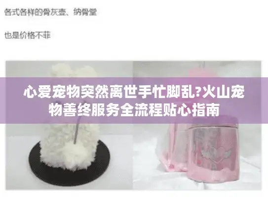 心爱宠物突然离世手忙脚乱?火山宠物善终服务全流程贴心指南