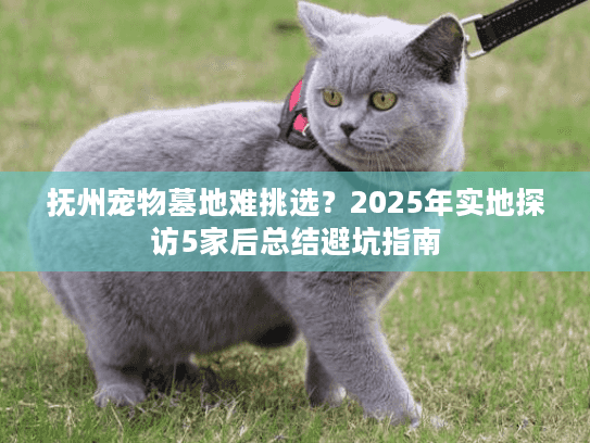抚州宠物墓地难挑选？2025年实地探访5家后总结避坑指南