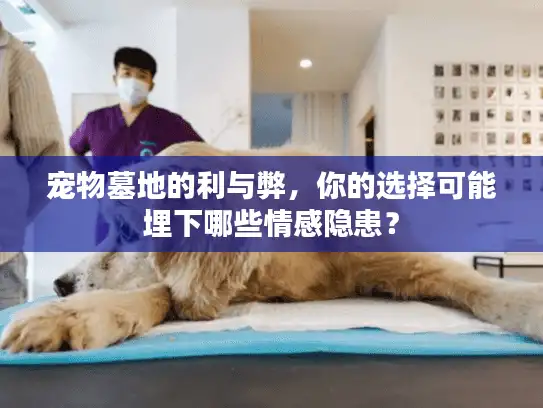 宠物墓地的利与弊，你的选择可能埋下哪些情感隐患？