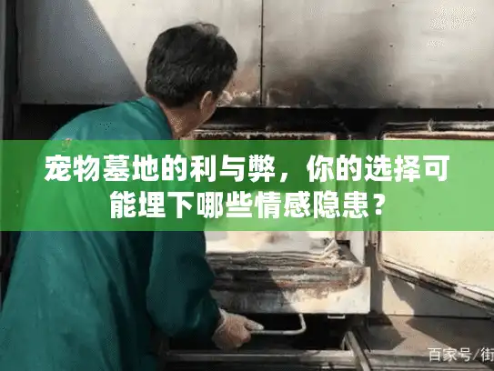 宠物墓地的利与弊，你的选择可能埋下哪些情感隐患？