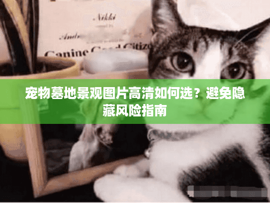 宠物墓地景观图片高清如何选?避免隐藏风险指南 宠物墓地景观图片高清如何选?避免隐藏风险指南