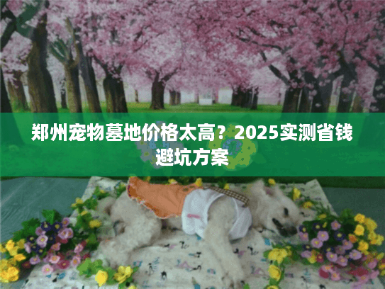 郑州宠物墓地价格太高？2025实测省钱避坑方案