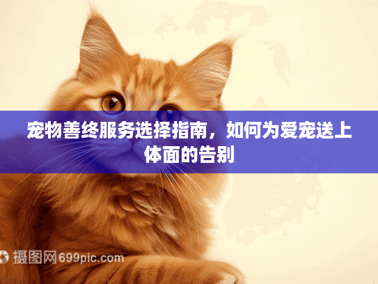 宠物善终服务选择指南,如何为爱宠送上体面的告别 宠物善终服务选择指南,如何为爱宠送上体面的告别