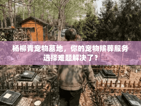 杨柳青宠物墓地,你的宠物殡葬服务选择难题解决了? 杨柳青宠物墓地,你的宠物殡葬服务选择难题解决了?