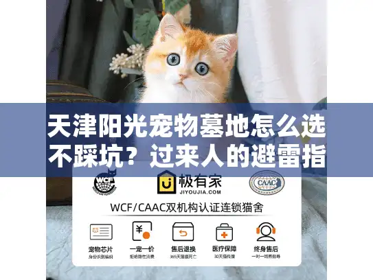 天津阳光宠物墓地怎么选不踩坑？过来人的避雷指南