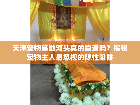 天津宠物墓地河头真的靠谱吗？揭秘宠物主人易忽视的隐性陷阱