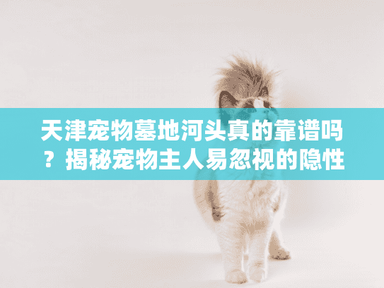 天津宠物墓地河头真的靠谱吗？揭秘宠物主人易忽视的隐性陷阱