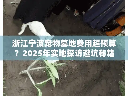 浙江宁波宠物墓地费用超预算？2025年实地探访避坑秘籍