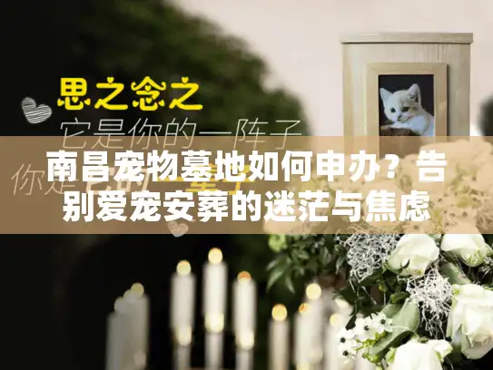 南昌宠物墓地如何申办？告别爱宠安葬的迷茫与焦虑