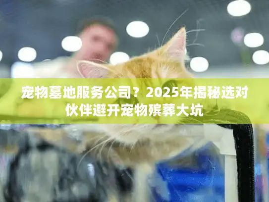 宠物墓地服务公司？2025年揭秘选对伙伴避开宠物殡葬大坑