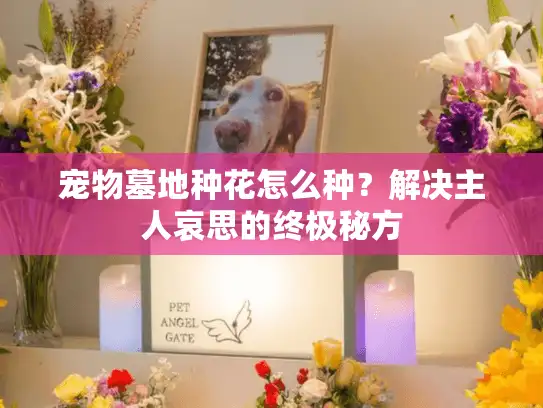 宠物墓地种花怎么种?解决主人哀思的终极秘方 宠物墓地种花怎么种?解决主人哀思的终极秘方