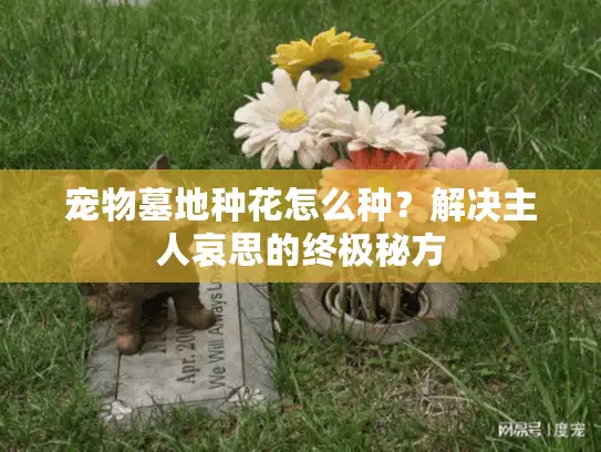 宠物墓地种花怎么种?解决主人哀思的终极秘方 宠物墓地种花怎么种?解决主人哀思的终极秘方